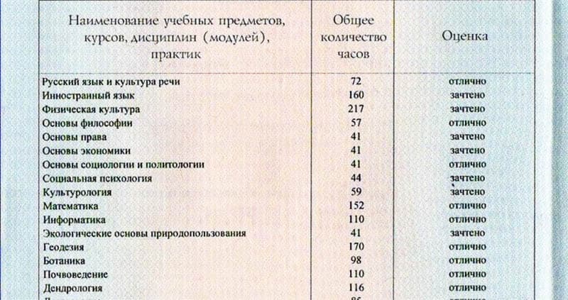 Средний балл диплома